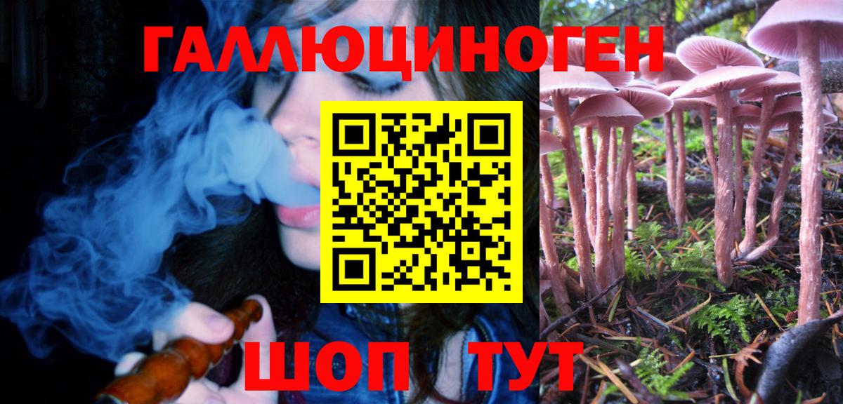 Псилоцибиновые грибы мицелий Балашиха