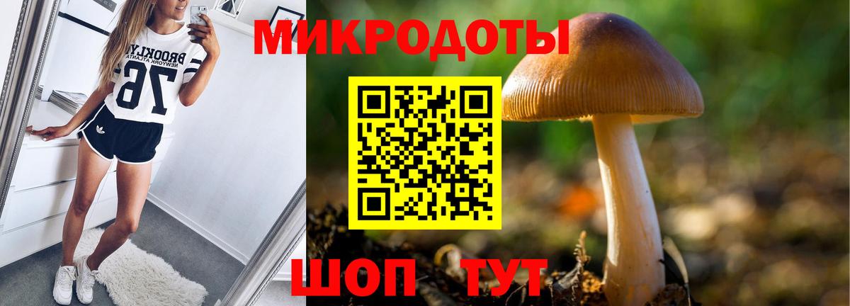 Псилоцибиновые грибы Psilocybe  Вход с VPN  цена   Галлюциногенные грибы прущие грибы  Балашиха 